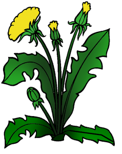 oduvan