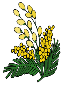 mimimozapng